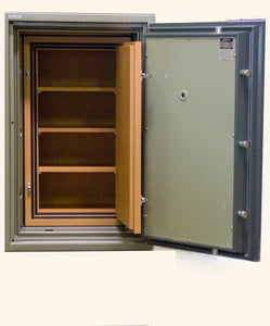 Hollon HDS1000