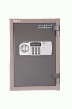 Hollon HDS500